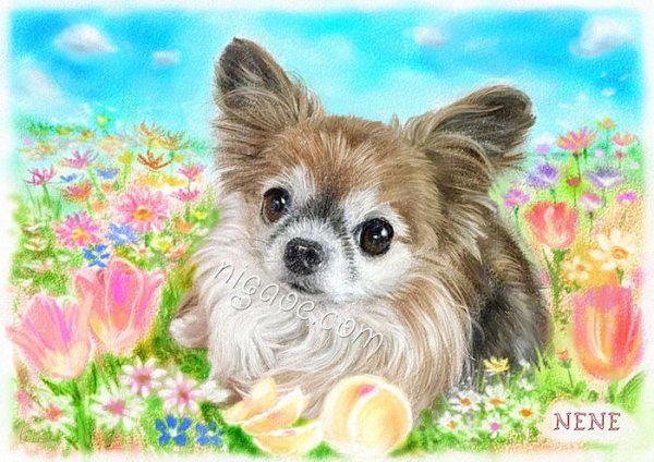 画像17: ペットの似顔絵 リアルコース(フレーム無し) (17)