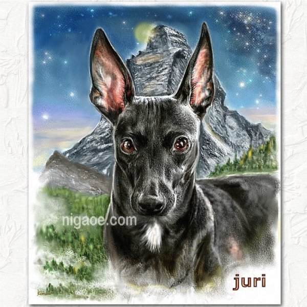 画像26: ペットの似顔絵 リアルコース(フレーム無し) (26)