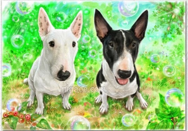 画像27: ペットの似顔絵 リアルコース(フレーム無し) (27)