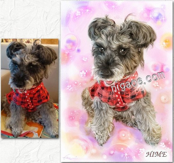 画像25: ペット似顔絵 安心チェックコース(手直し無料) (25)