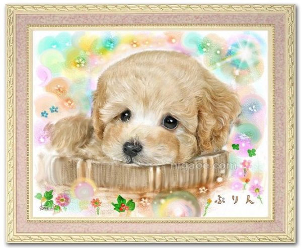 画像2: 下描きから確認できます ! ペット似顔絵 プレミアムコース (2)