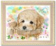 画像3: ペット似顔絵 安心チェックコース(手直し無料) (3)
