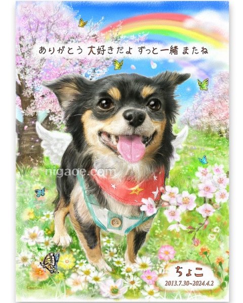 画像11: ペット似顔絵  メモリアル 虹の橋  (額入り)  (11)