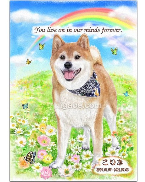 画像12: ペット似顔絵  メモリアル 虹の橋  (額入り)  (12)