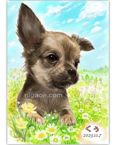 画像24: ペット似顔絵 安心チェックコース(手直し無料) (24)