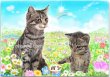 画像15: ペット似顔絵 安心チェックコース(手直し無料) (15)