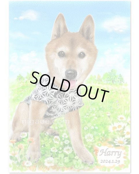 画像2: A様専用 A4サイズ(木目調ホワイトフレーム) 1枚に1名様 背景は全てお任せ (2)