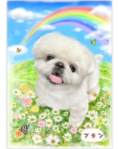 画像45: ペット似顔絵  メモリアル 虹の橋  (額入り)  (45)