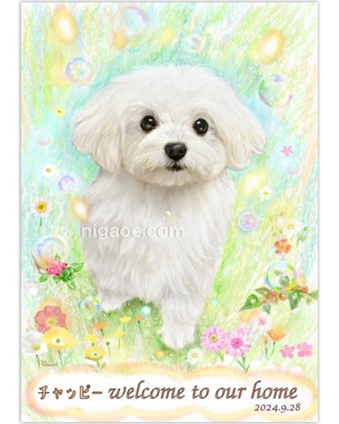 画像15: ペット似顔絵 安心チェックコース(手直し無料) (15)