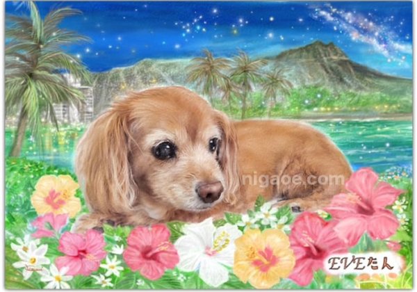 画像9: ペット似顔絵 安心チェックコース(手直し無料) (9)