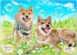 画像9: ペット似顔絵 安心チェックコース(手直し無料) (9)