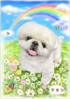 オーダーメイド水彩画】A4サイズに1名様〜虹色似顔絵 | 色李画廊