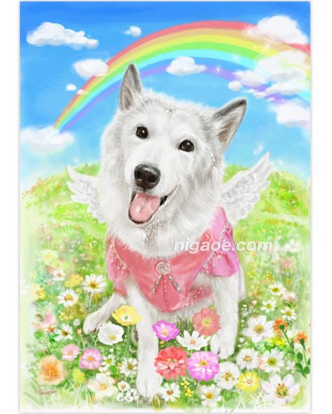 画像13: ペット似顔絵  メモリアル 虹の橋  (額入り)  (13)