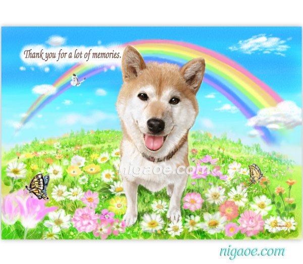 画像6: ペット似顔絵  メモリアル 虹の橋  (額入り)  (6)