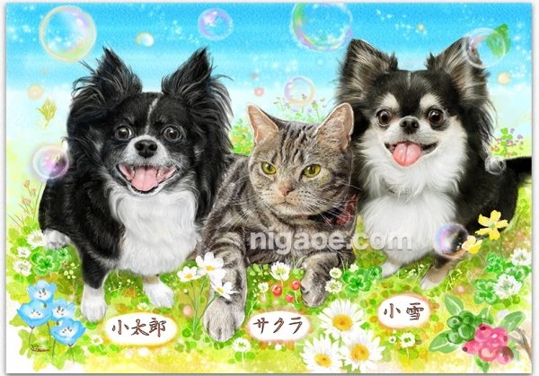 画像22: ペット似顔絵 安心チェックコース(手直し無料) (22)