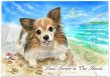 画像7: ペット似顔絵  ギフトコース 特急仕上げ (7)