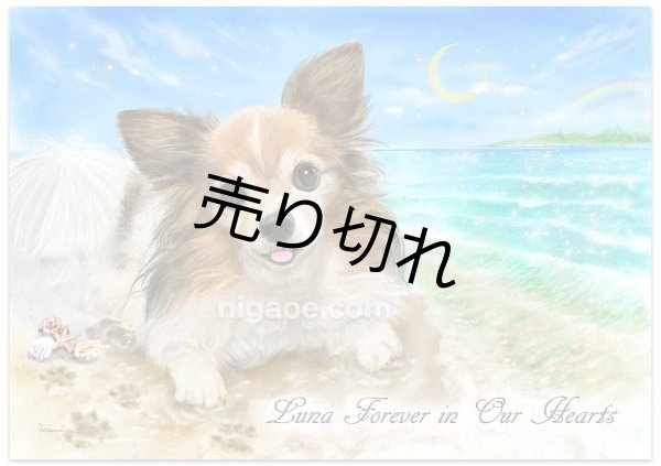 画像7: ペット似顔絵  ギフトコース 特急仕上げ (7)