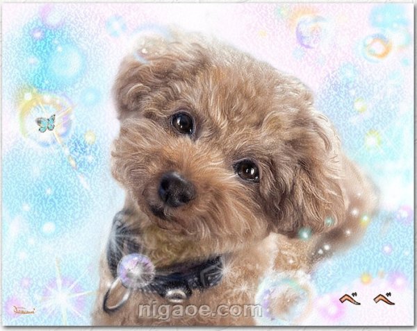 画像3: ペット似顔絵  ギフトコース 特急仕上げ (3)