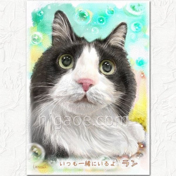 画像11: ペット似顔絵  ギフトコース 特急仕上げ (11)