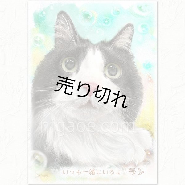 画像11: ペット似顔絵  ギフトコース 特急仕上げ (11)