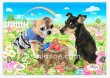 画像5: ペット似顔絵  ギフトコース 特急仕上げ (5)