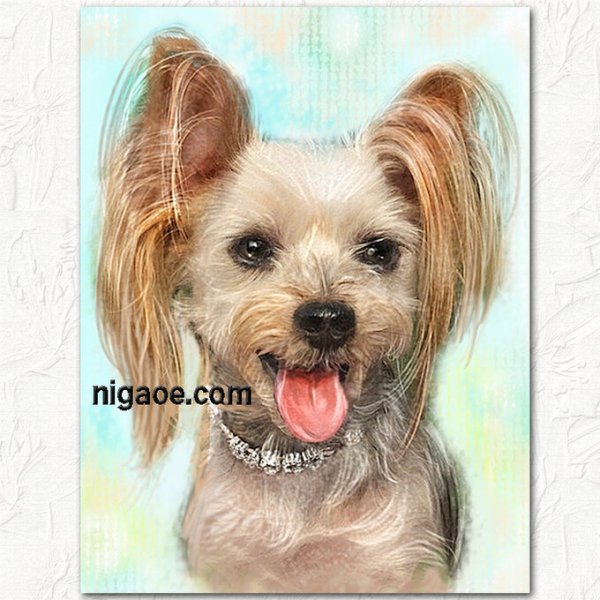 画像15: ペット似顔絵  ギフトコース 特急仕上げ (15)