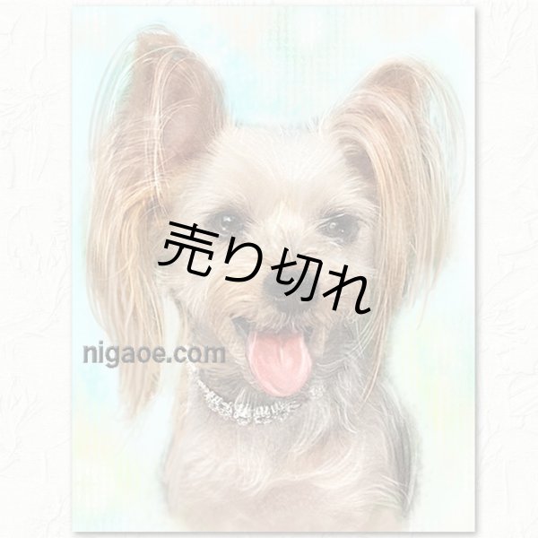 画像15: ペット似顔絵  ギフトコース 特急仕上げ (15)