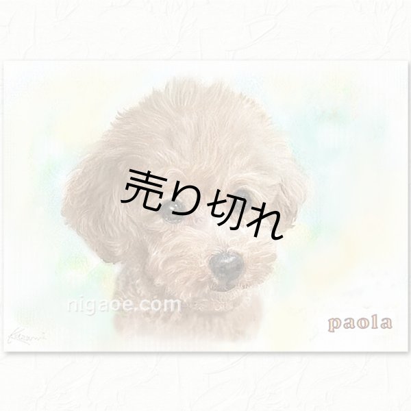 画像14: ペット似顔絵  ギフトコース 特急仕上げ (14)