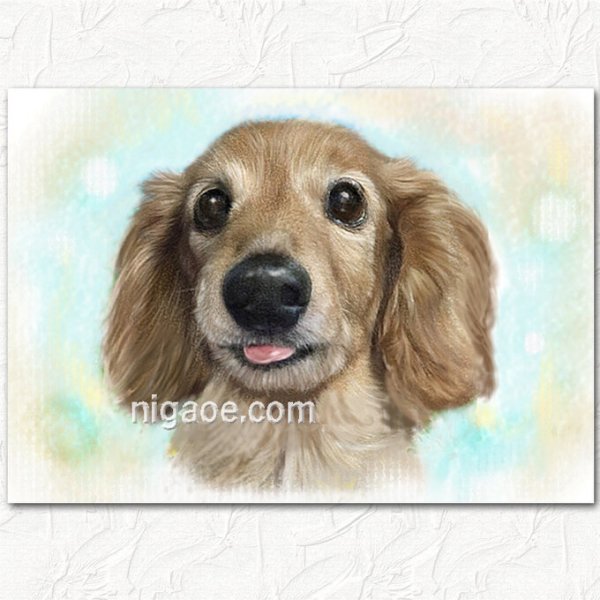 画像12: ペット似顔絵  ギフトコース 特急仕上げ (12)