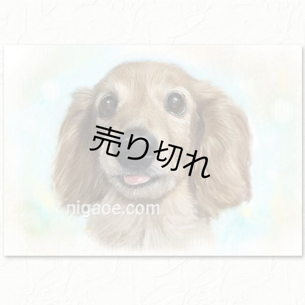 画像12: ペット似顔絵  ギフトコース 特急仕上げ (12)