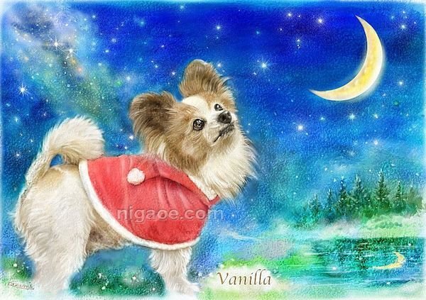 画像10: ペット似顔絵  ギフトコース 特急仕上げ (10)