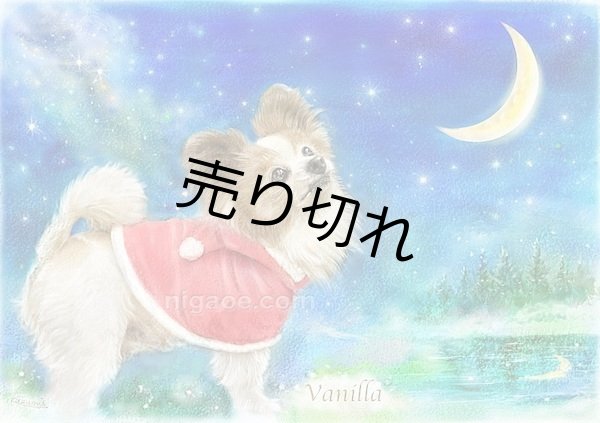 画像10: ペット似顔絵  ギフトコース 特急仕上げ (10)