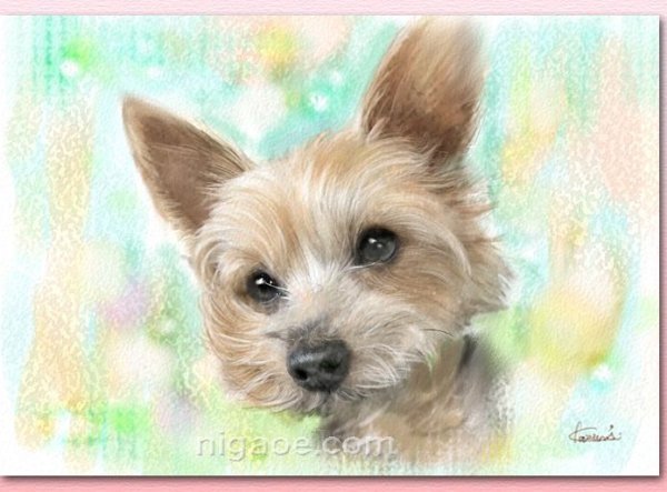 画像13: ペット似顔絵  ギフトコース 特急仕上げ (13)