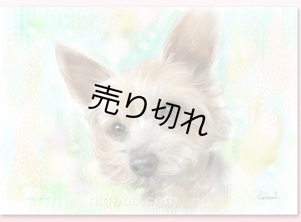 画像13: ペット似顔絵  ギフトコース 特急仕上げ (13)