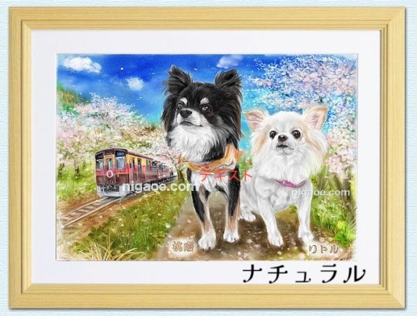 画像16: ペット似顔絵  ギフトコース 特急仕上げ (16)