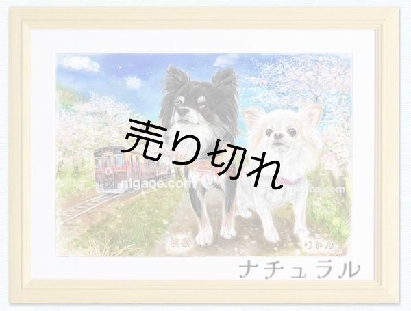 画像16: ペット似顔絵  ギフトコース 特急仕上げ (16)