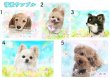 画像2: ペット似顔絵  ギフトコース 特急仕上げ (2)