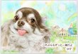 画像1: ペット似顔絵 肖像画 お顔中心 (1)
