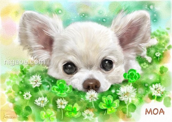 画像5: ペット似顔絵 肖像画 お顔中心 (5)