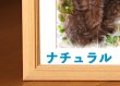 画像14: ペット似顔絵 肖像画 お顔中心 (14)