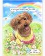 画像4: 送料185円 ペット似顔絵  メモリアル 虹の橋  (フィットフレーム)  (4)