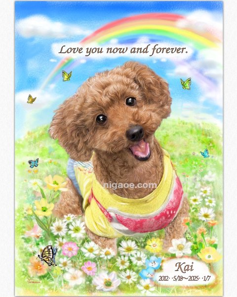 画像4: 送料185円 ペット似顔絵  メモリアル 虹の橋  (フィットフレーム)  (4)