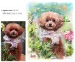 画像12: 送料185円  ペット似顔絵 おしゃれなフィットフレーム入り  (12)