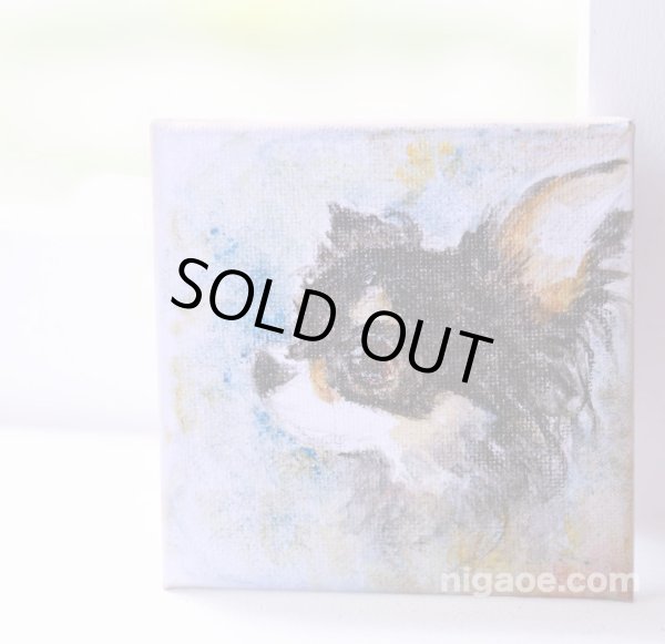 画像2: ブラックタンチワワの横顔 (2)