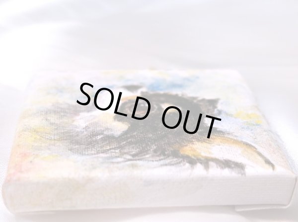 画像4: ブラックタンチワワの横顔 (4)