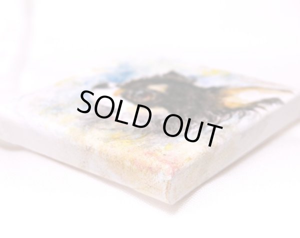 画像3: ブラックタンチワワの横顔 (3)