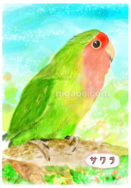 画像4: ペット似顔絵  小鳥さんと暮らす幸せ応援価格 (4)