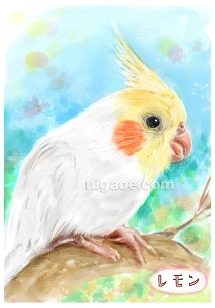 画像1: ペット似顔絵  小鳥さんと暮らす幸せ応援価格 (1)