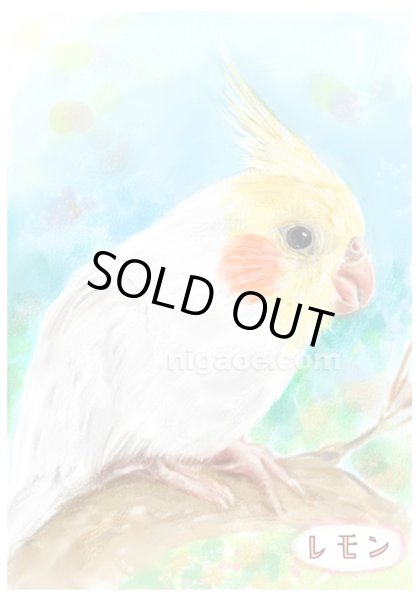 画像1: ペット似顔絵  小鳥さんと暮らす幸せ応援価格 (1)