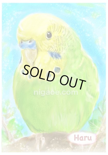 画像2: ペット似顔絵  小鳥さんと暮らす幸せ応援価格 (2)